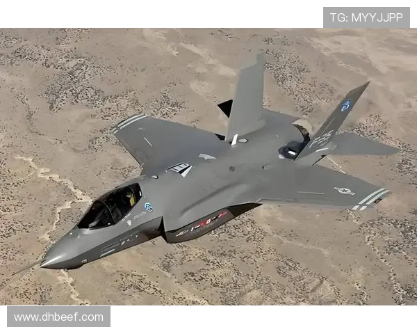 战斗机机身结构的隐身承载一体