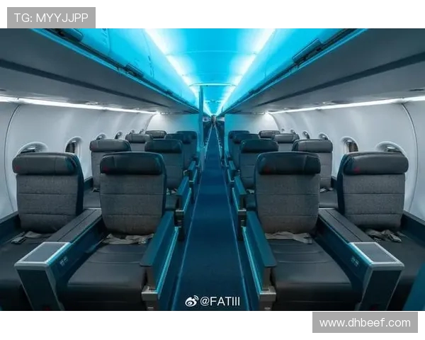 飞机客舱内饰材料的挥发性测试